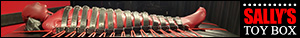 SallysToyBox Banner