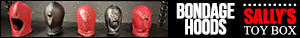 SallysToyBox Banner