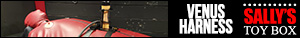 SallysToyBox Banner