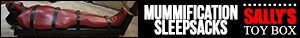 SallysToyBox Banner